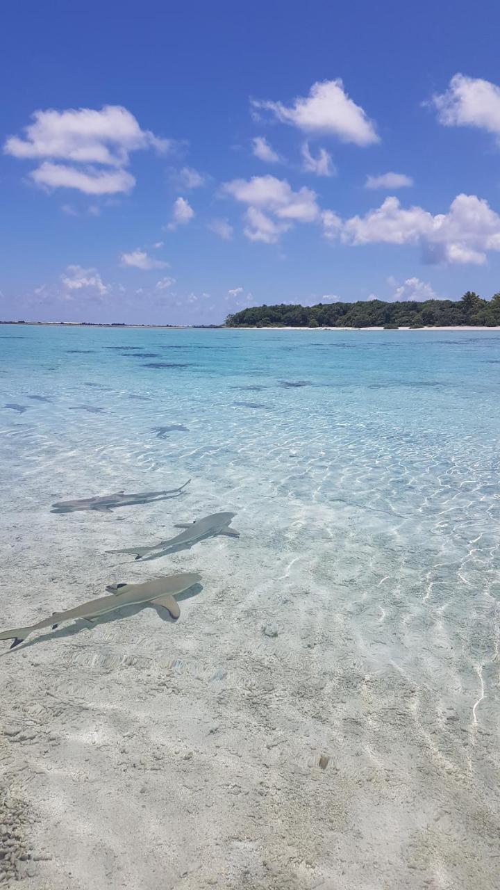 Chez Taia et Véro Tiputa Esterno foto